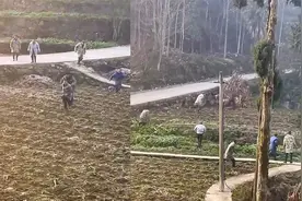 村里杀年猪，结果一不小心猪跑了，一群人你追我赶结局让人意外视频封面