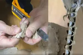 夹层全是水泥！网友称苹果箱灌水泥空纸箱重5斤多