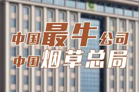 中国最牛公司——中国烟草总局视频封面
