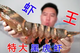 虾王来了，比手臂还粗还长的黑虎虾，烤着吃一只就饱了视频封面