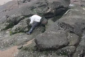 这天气出来勾螃蟹最好，泰叔凭经验发现大货窝，再深也给它勾出来视频封面