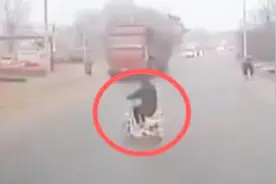 大妈横穿马路逼停大货车 随后蛇形走位挑衅 遭对向车辆撞翻视频封面