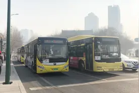 左转占直行，哈尔滨这个公交站真不便民！视频封面
