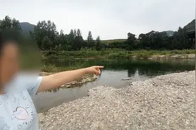 陕西商南：夺命水坑致2名学生溺水身亡 坑从何来仍无交代视频封面