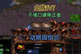 星际争霸：虫族1V7随机电脑，不堵口，动物园组合硬刚正面视频封面