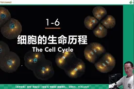 1-6-1 细胞的生命历程-细胞的增殖视频封面