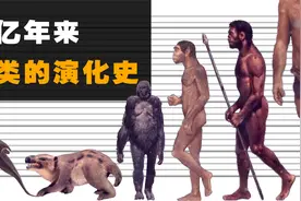 人类究竟是如何进化而来的？探究几亿年来人类的演化史！视频封面