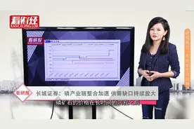 战略性矿产+环保严管，每年涨价3次还比国外便宜，投资机会来了视频封面