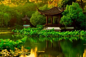 航拍西湖美景+古筝二胡轻音乐：西湖美景三月天，春雨如酒柳如烟视频封面