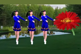 民族广场舞《站在草原望北京》演唱：乌兰图雅，天籁歌声大气豪迈视频封面