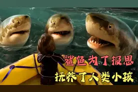 大鲨鱼为了报恩，将人类小孩养大，变异成为鲨鱼人《立体小奇兵》