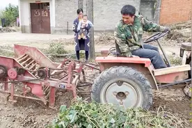 农村静静家挖春红薯，公公改装的挖红薯机器好用吗？婆婆相不中视频封面