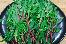野菜扫帚苗好吃有诀窍，大厨教你一招，清淡味美不花钱，不上火视频封面