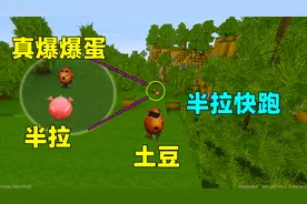 迷你世界：半拉变成团子，碰到一个和土豆一样的爆爆蛋，还不快跑视频封面