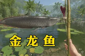 绿色地狱：用竹子简单做了根鱼竿，没想到钓起来一条金龙鱼