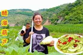 地里摘了两个葫芦，做家常美味醋溜葫芦，酸脆爽口做法简单又好吃