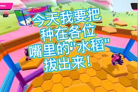 【无耻Diamond】糖豆人蜂窝迷途全技巧实操视频