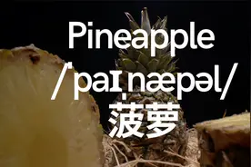 初学英文43个水果，英文单词必学，初学者必会 带音标视频封面