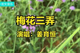 一曲姜育恒《梅花三弄》歌词太走心了 令人心醉 好听视频封面