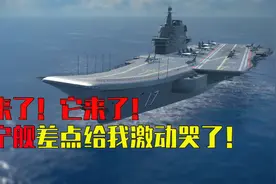 当我看见它时我哭了、激动的哭了视频封面