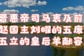 晋惠帝司马衷及前赵国主刘曜的五废五立的皇后羊献容视频封面