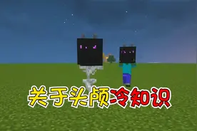 我的世界：关于头颅你不知道的趣味小知识