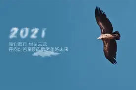 回首2020：秦淮style，勇毅笃行视频封面