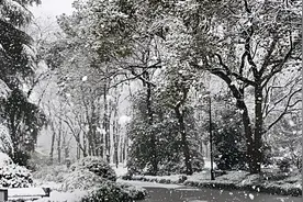 大范围雨雪上线！北京：本周六早晨推开门窗或见雪景视频封面