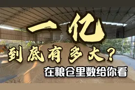一亿有多大，去粮仓里数给你看看！！视频封面