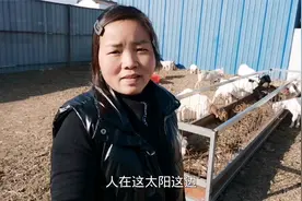 农村创业搞养殖，基本经验一定要掌握，不然赔的让你真的惨目忍睹视频封面