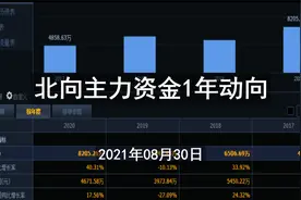 北向主力1年动向：卖茅台买宁德，个股加减仓分析视频封面