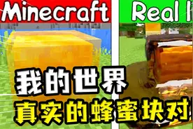 我的世界：蜂蜜块真实的弹性效果？放下很q弹，还能被随意拉伸