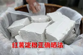 晒红薯淀粉有讲究，切成小块更容易干，别再傻傻弄成粉沫了视频封面