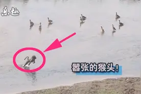 孤身一人闯敌阵中心，面对千军万马，淡然若定，会被群殴吗？视频封面