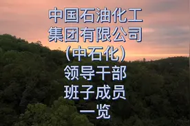 中国石油化工集团有限公司（中石化）领导干部班子成员一览视频封面