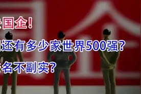 除去国企！我国还有多少家世界500强？哪些名不副实？视频封面