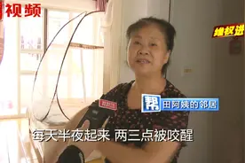 家中多出不少小黑虫，业主无奈睡在帐篷里：但还有虫进去！视频封面