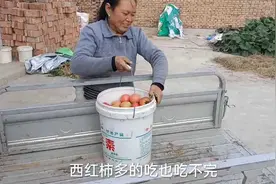 文妈煮了一大锅新小米，小米稀饭里面放土豆配点辣菜，那叫一个香视频封面