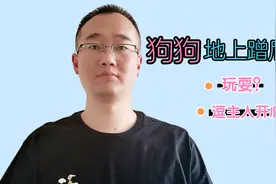 狗狗在地上蹭屁股，主人问自己3个问题，会明白它并不是为了玩视频封面