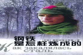 第四季中考名著钢铁是怎样炼成的1（概述内容理想主义的教科书）视频封面