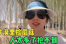 沙漠里的野生蘑菇你吃过吗？捡蘑菇的人太多，十几个人就抢了20颗视频封面