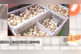 鸡蛋蛋黄里的白色小团状物，到底是什么？专业人士解答！视频封面