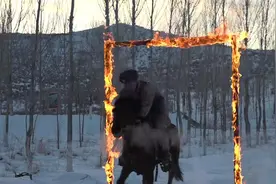 边关军马的训练日记