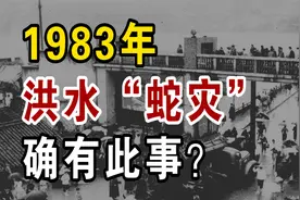 台风洪水过后，为啥频频出现蛇类？1983年洪水“蛇灾”怎么回事？视频封面