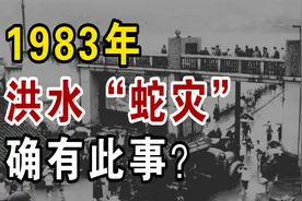 台风洪水过后，为啥频频出现蛇类？1983年洪水“蛇灾”怎么回事？视频封面