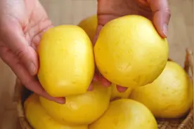 一发馒头和二发馒头的区别？各有缺点有哪些？看完视频才明白视频封面