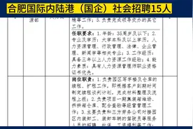 合肥国际内陆港（国企）社会招聘15人，本科可报，享受国企待遇视频封面