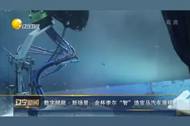 辽宁新闻｜数字赋能新场景：金杯李尔“智”造宝马汽车座椅视频封面