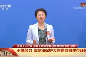代表通道：中国日报记者向侯蓉提问视频封面