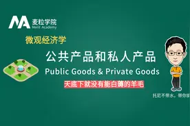 经济：公共产品和私人产品视频封面